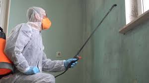 Reliable Surgoinsville, TN Mold Removal Solutions